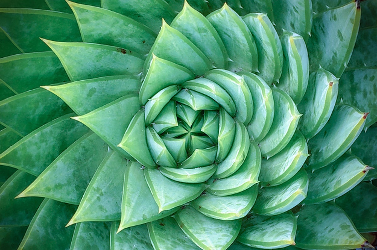自然が作り出す 完璧 には勝てない 神秘的な写真6枚