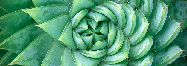 自然が作り出す 完璧 には勝てない 神秘的な写真6枚