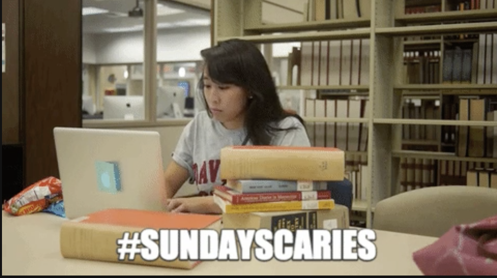 a girl on her laptop with books around her and the text, &quot;#sundayscaries
