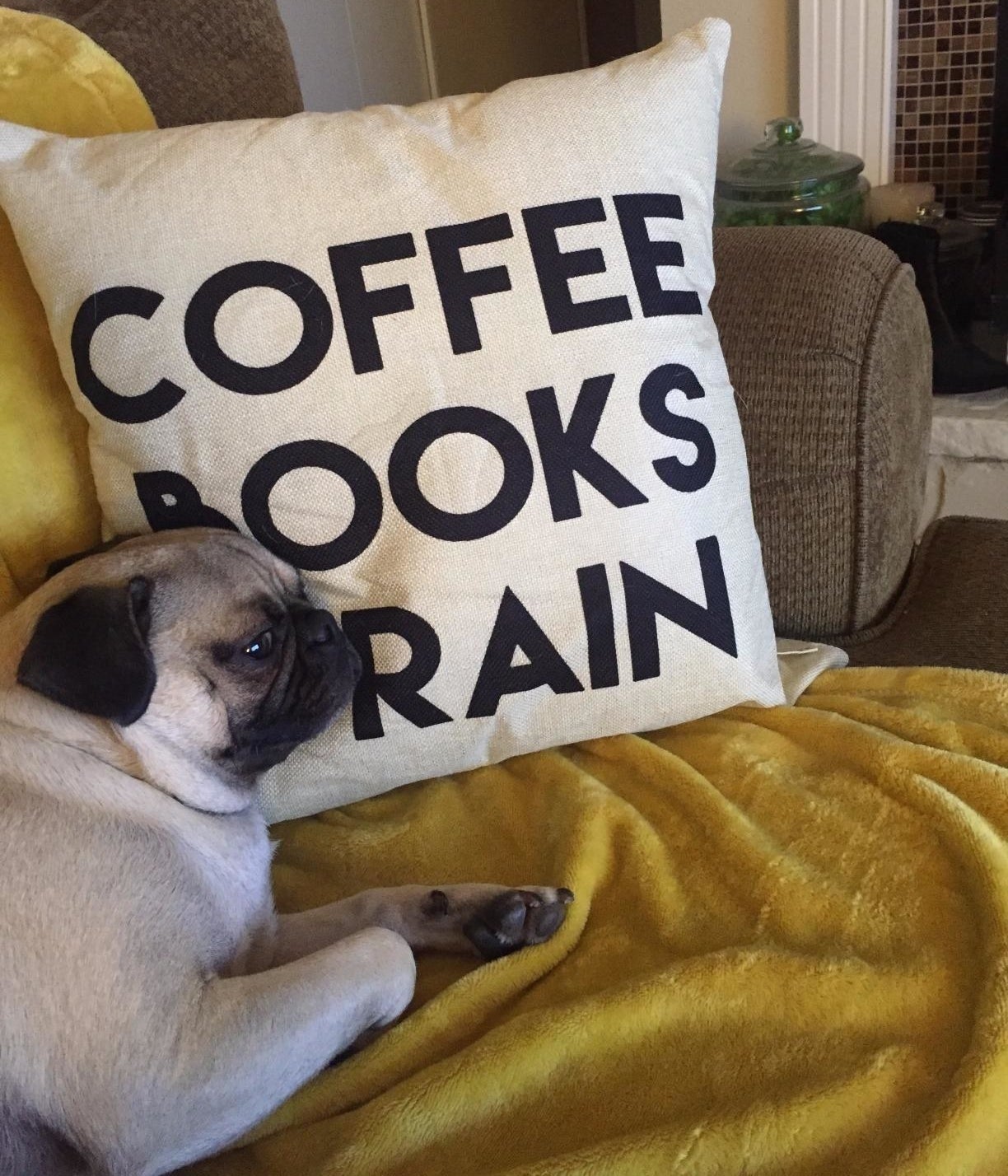 the throw pillow with &quot;coffee books &amp;amp; rain&quot; printed on it on a couch next to a reviewer&#x27;s pug