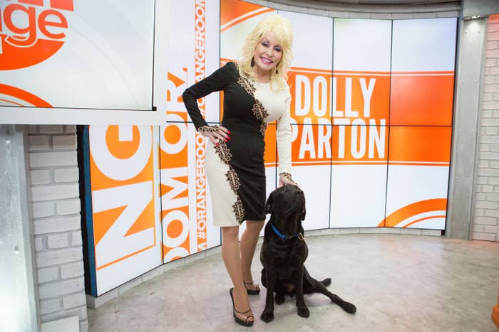 Dolly stands next to a black Labrador Retriever