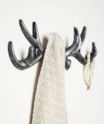 closeup of the silver-black antlers