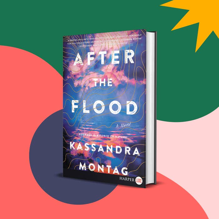 After the Flood book cover