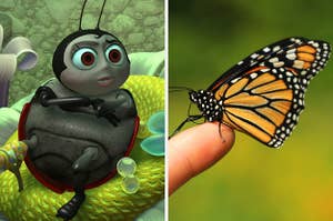 On the left, Francis, the ladybug from A Bug's Life lying on a bed, and on the right, a monarch butterfly resting on someone's finger