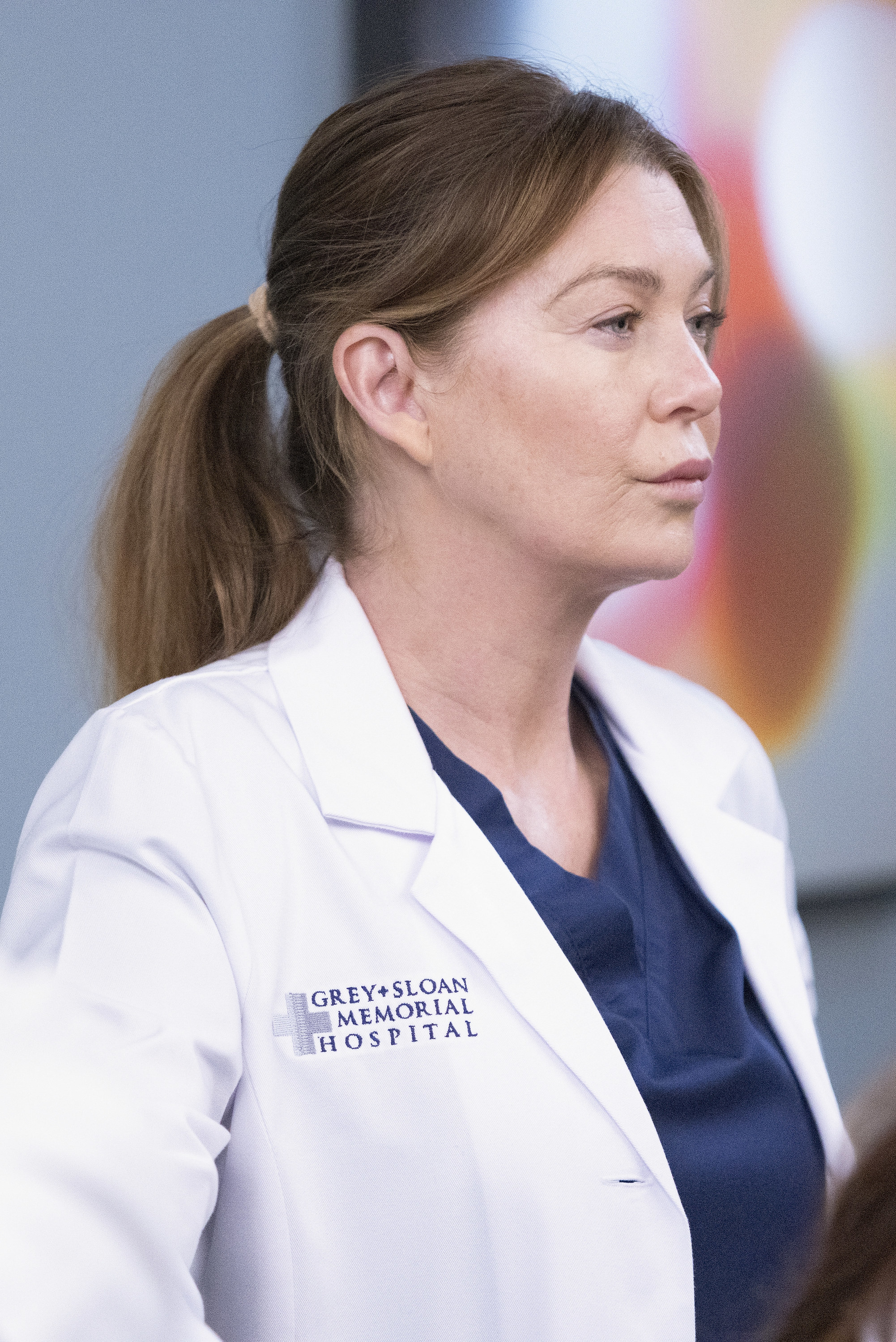 Why Ellen Pompeo Isn t In Grey s Anatomy Season 19 - 50