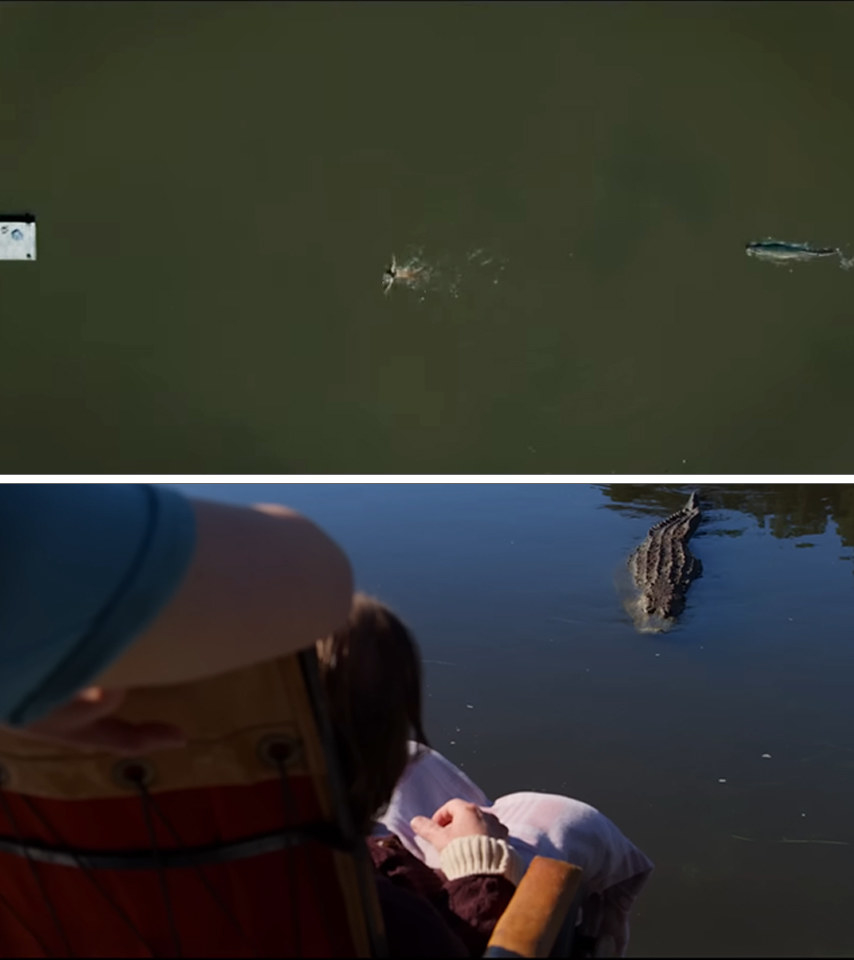 A high shot of someone swimming in a lake, an alligator close behind.  Another shot of an alligator approaching a man in a wheelchair.