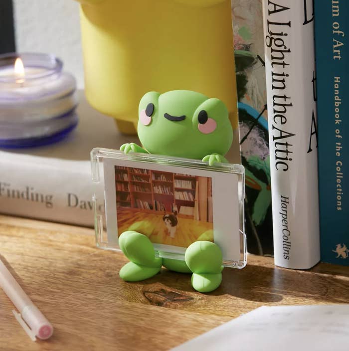 A photo in the frog photo frame on a desk