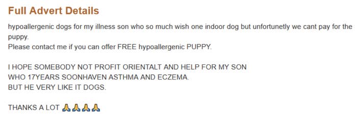 A advertisement requesting a free hypoallergenic puppy for their son