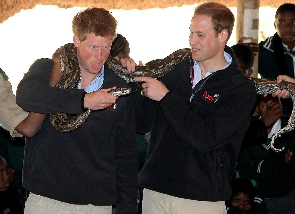 What Prince William And Harry Have Looked Like Over Time - 63