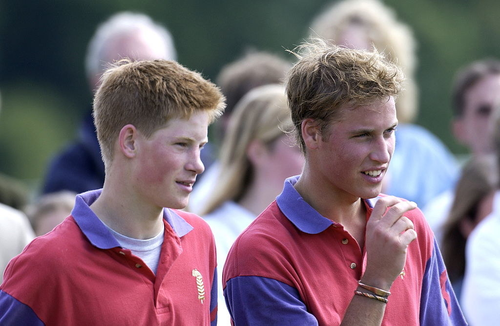 What Prince William And Harry Have Looked Like Over Time - 94