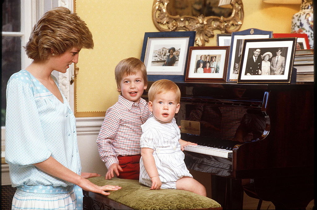 What Prince William And Harry Have Looked Like Over Time - 12