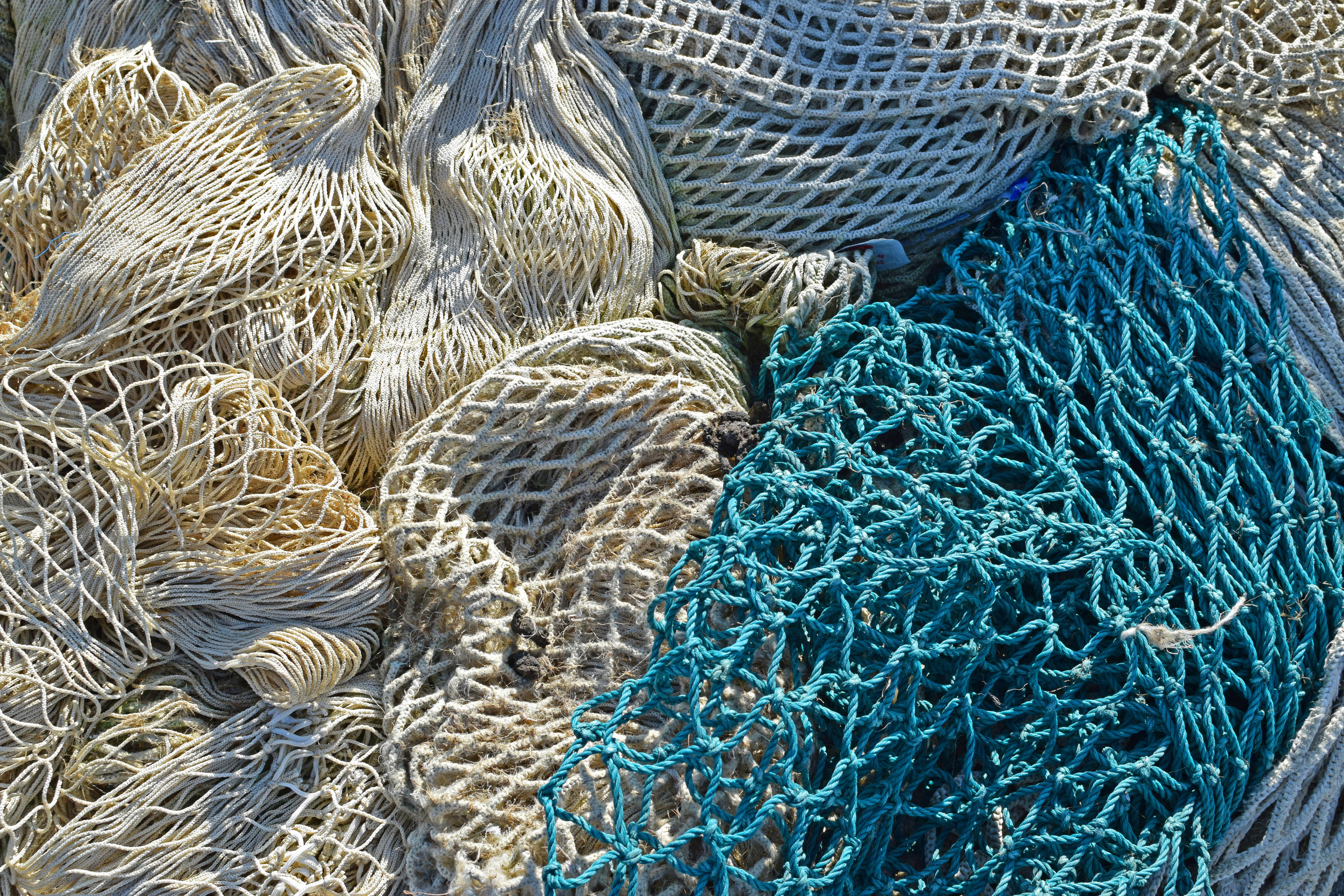 a fishing net