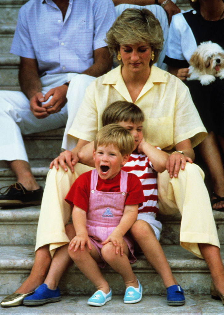 What Prince William And Harry Have Looked Like Over Time - 42