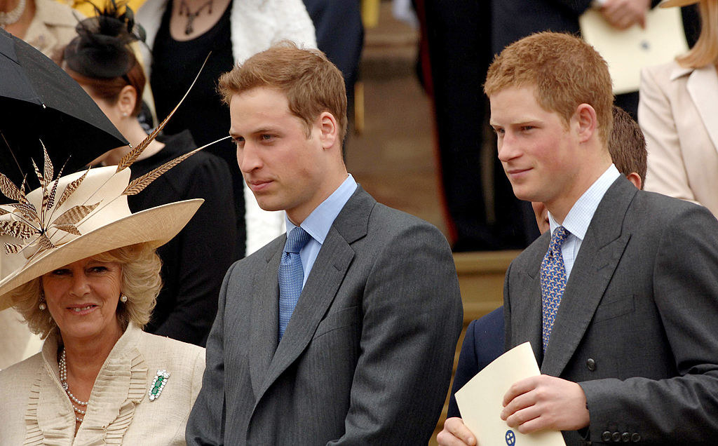 What Prince William And Harry Have Looked Like Over Time - 18