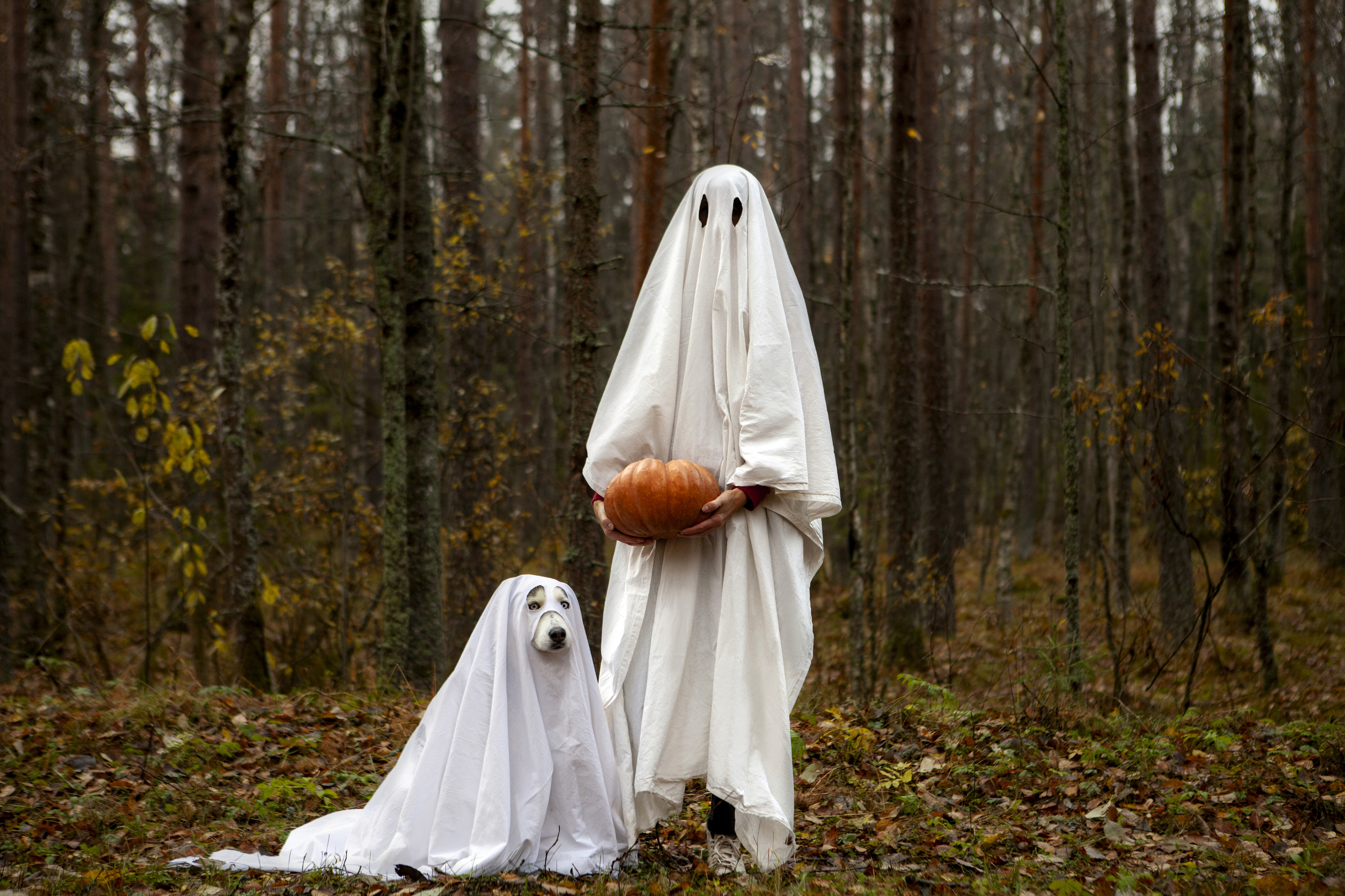 a person and their dog wearing sheet ghost costumes
