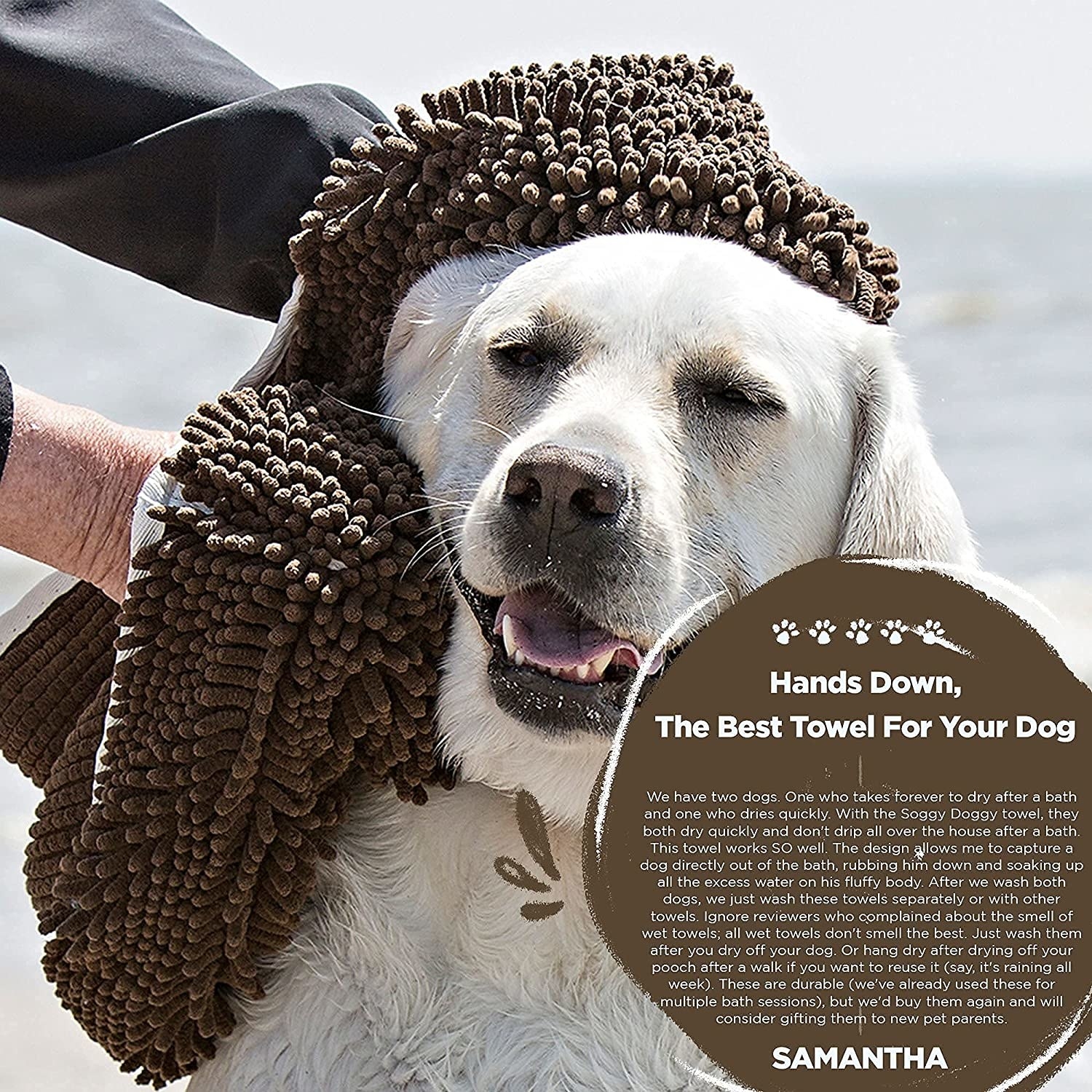 close up of model drying a labrador with a brown microfiber towel