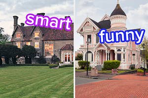 smart and funny house