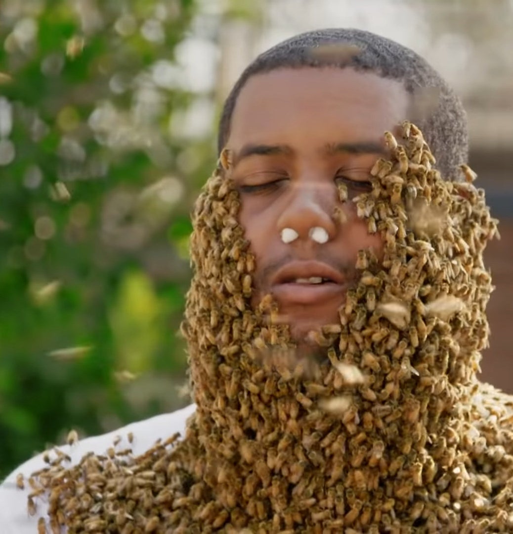 jasper from odd future covered in bees