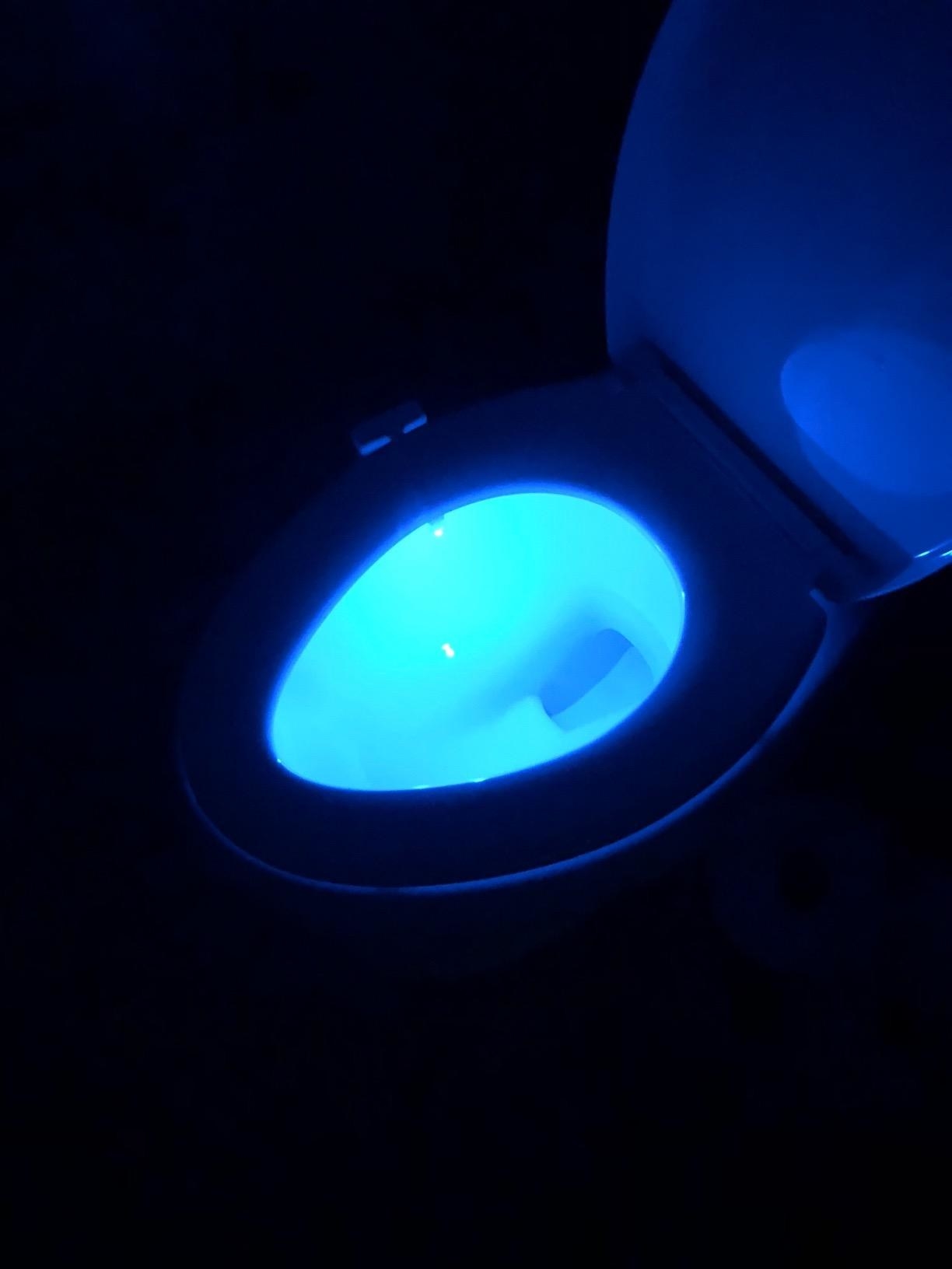 reviewer image of the toilet nightlight