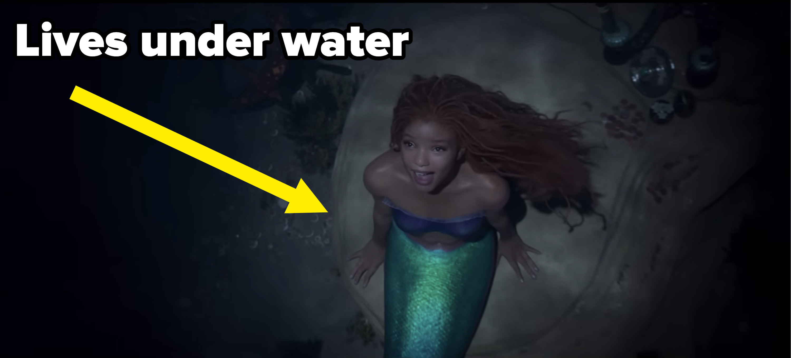 The Little Mermaid Being Black Makes Scientific Sense - 75