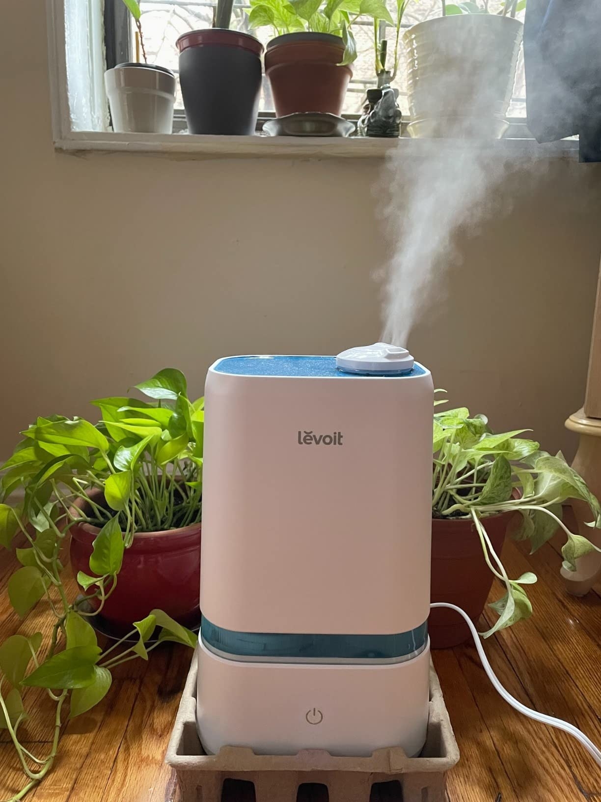 reviewer&#x27;s picture of the humidifier
