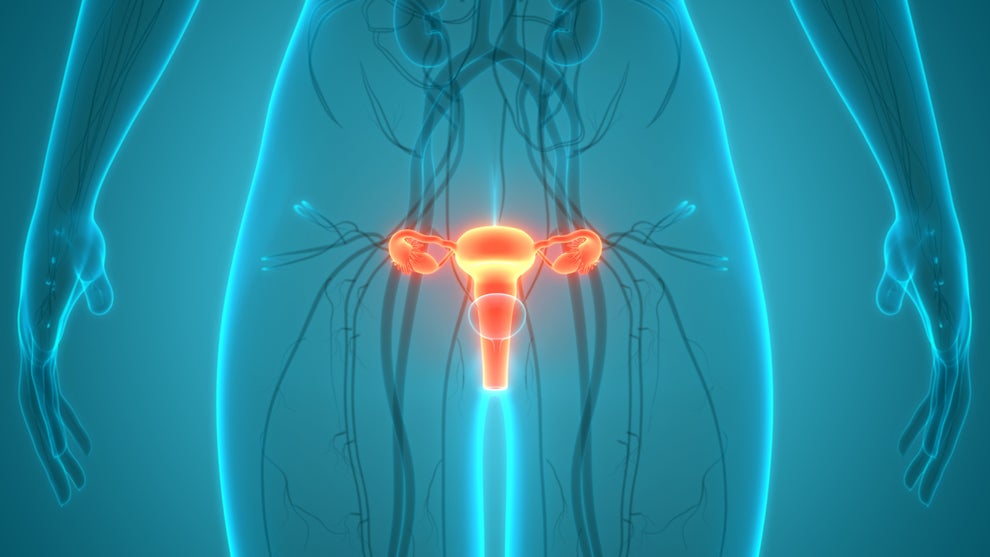 Teen Gets Blood Clot In Brain From Birth Control Pills — Here's What