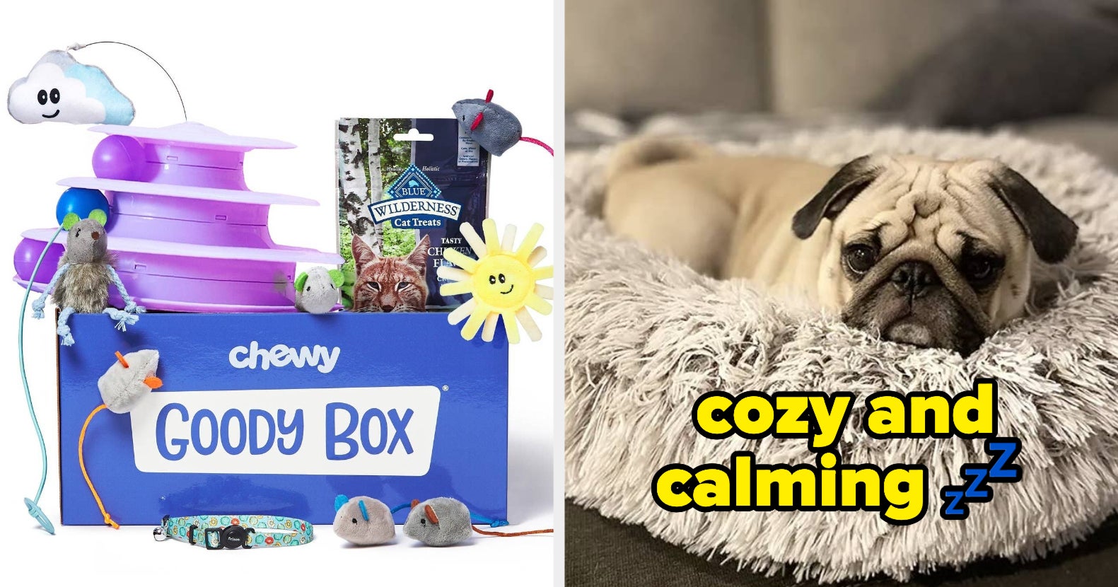 37 JustBecause Gifts To Get Your Pet