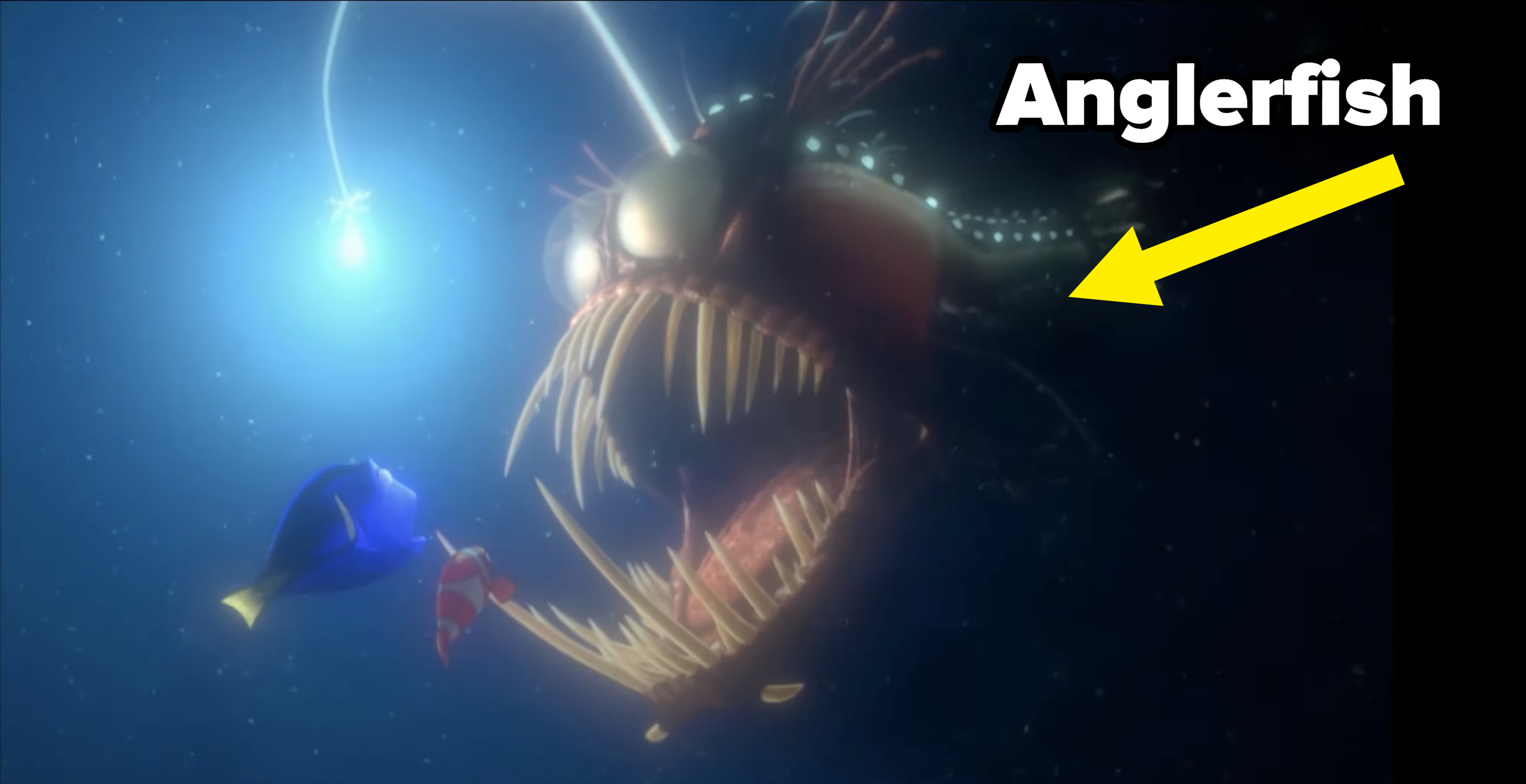 The hovering light is attached to an anglerfish