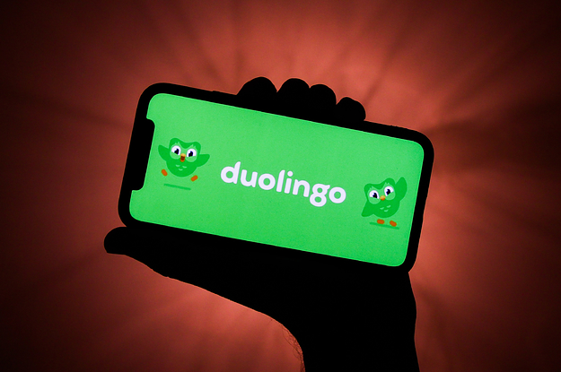 28 Duolingo Memes That Are Funny But Alarming