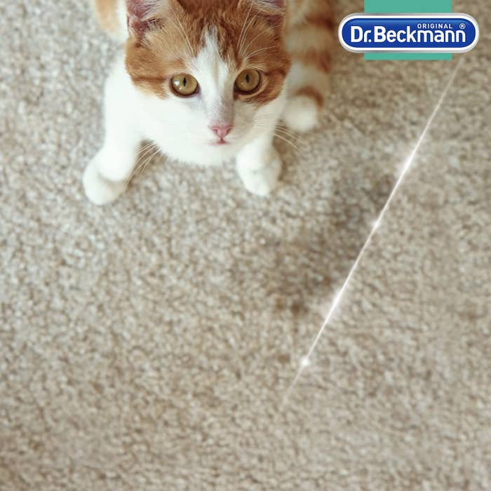 Home Improvement Essentials That Are Always Handy To Have