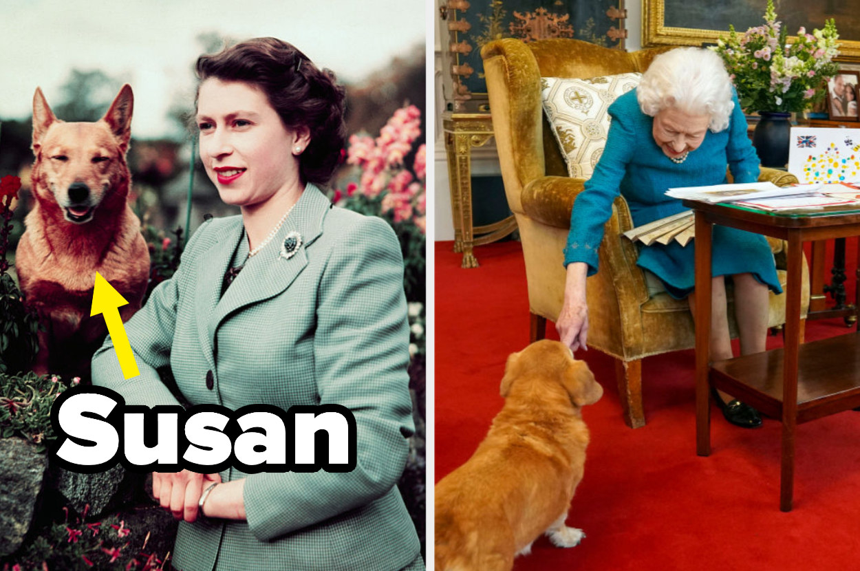 a young Queen Elizabeth II at Balmoral Castle with one of her Corgis and the Queen older is joined by one of her dogs in the Oak Room at Windsor Castle