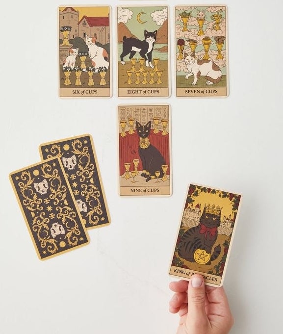 a person holding a cat tarot card next to other cat tarot cards