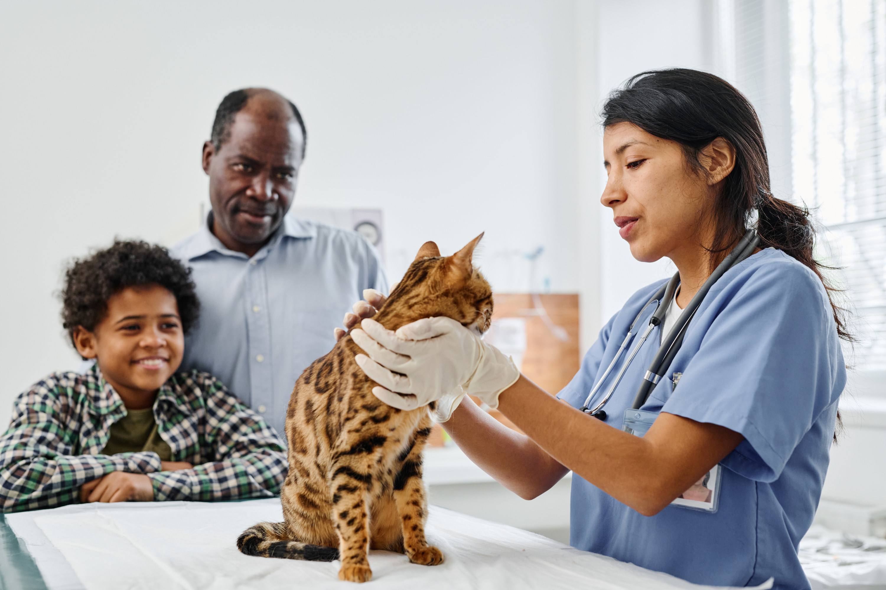 parent and child watching a veterinarian check their cat