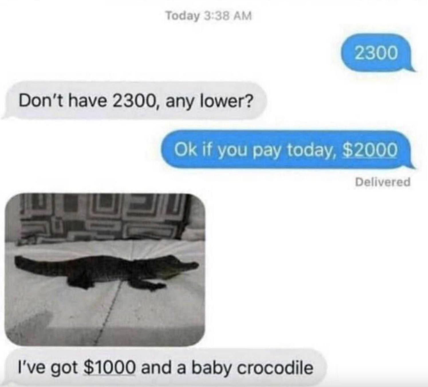 Person says they don&#x27;t have $2,300 and can they go lower, seller says &quot;If you pay today, $2,000,&quot; and buyer says &quot;I&#x27;ve got 1,000 and a baby crocodile&quot; and posts pic of croc