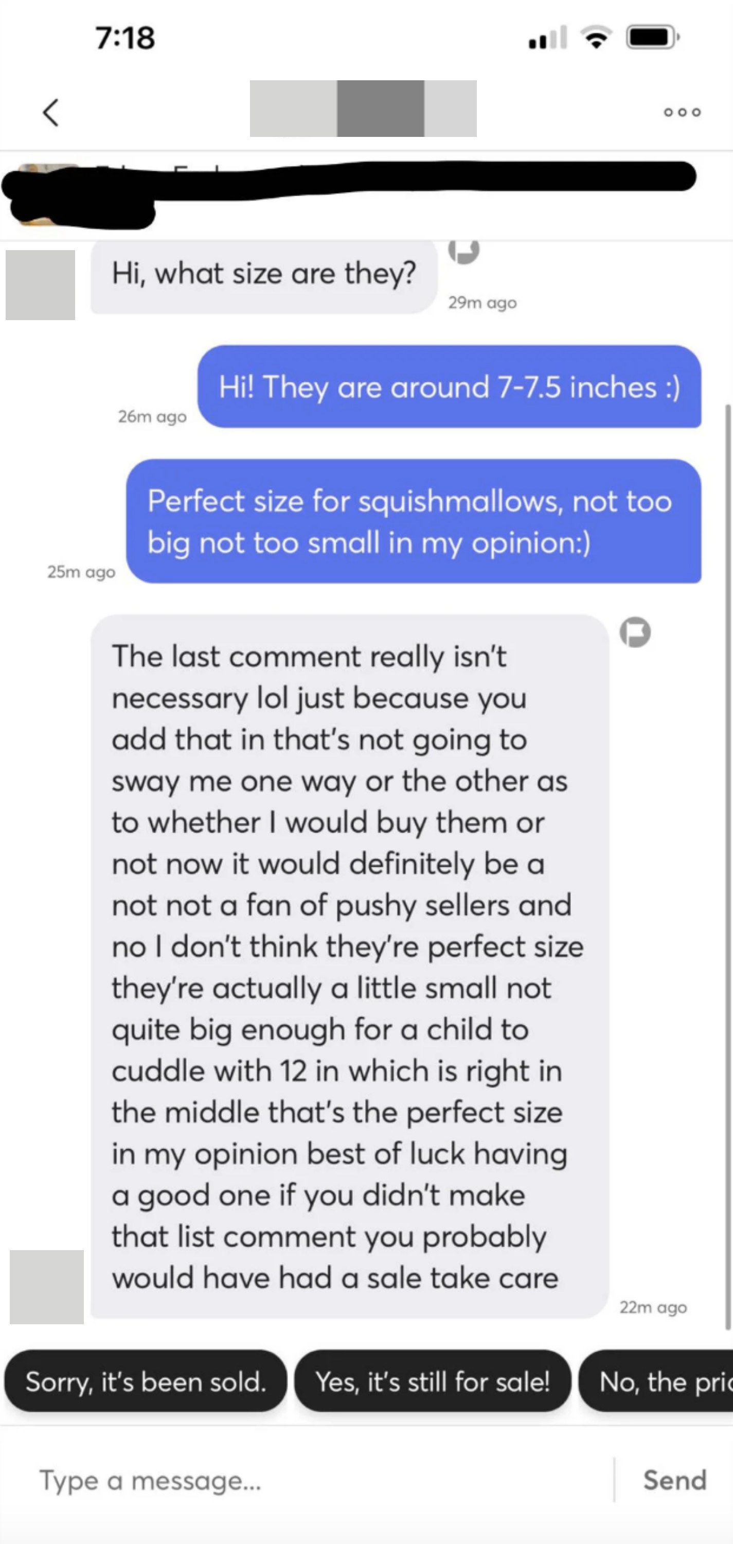 Seller says item is &quot;perfect size for squishmallows,&quot; and person says the comment wasn&#x27;t necessary and they don&#x27;t like pushy sellers and they probably would have had a sale if they hadn&#x27;t said that; plus, it&#x27;s not the perfect size, it&#x27;s a little small