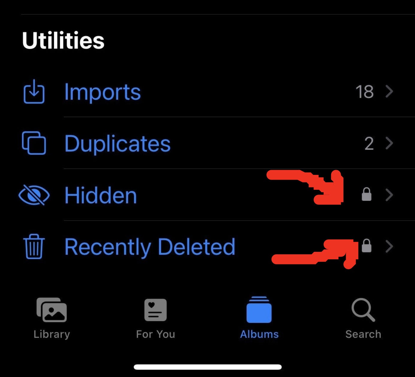 categories of photos including hidden and recently deleted