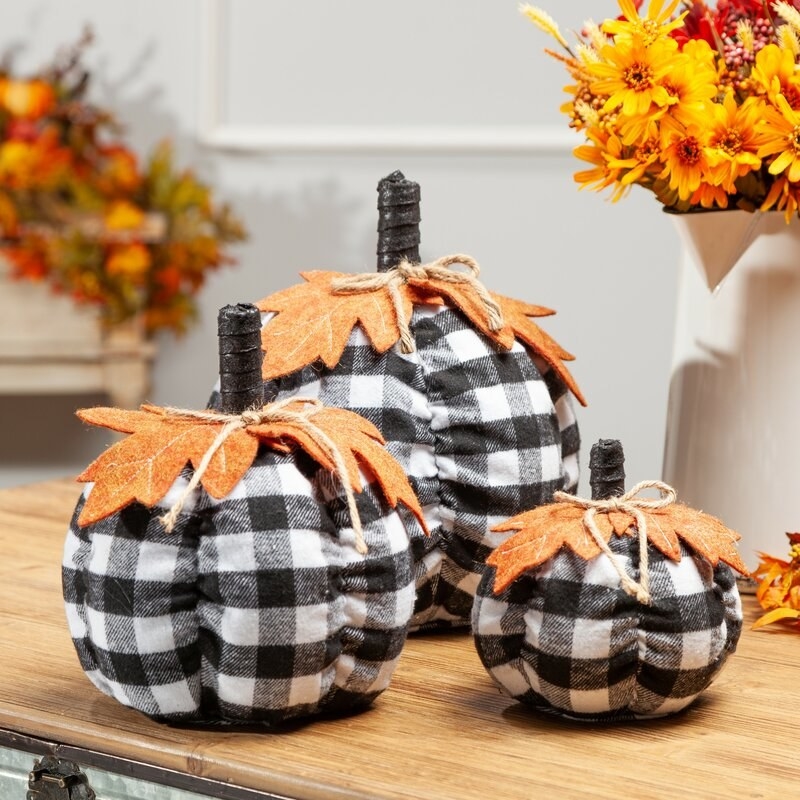 the checkered pumpkin set