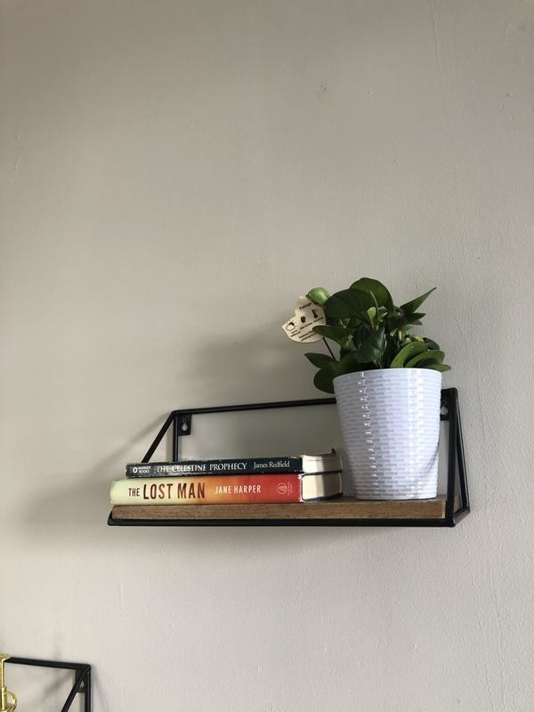 The wall shelf with books and a plant on it