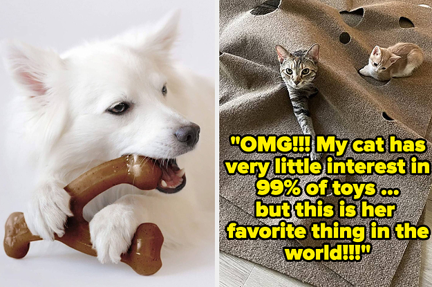 32 Pet Products Reviewers Thought *Wouldn’t* Work…Until They Absolutely Did