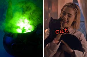 On the left, a bubbling cauldron, and on the right, Sabrina from Chilling Adventures of Sabrina holding Salem the cat labeled cat