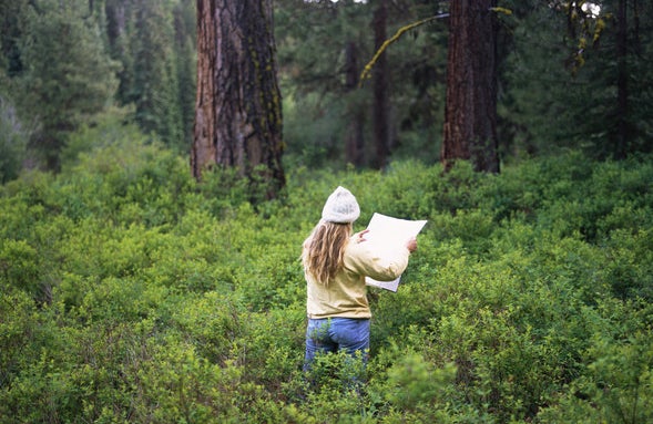 A woman reading a map