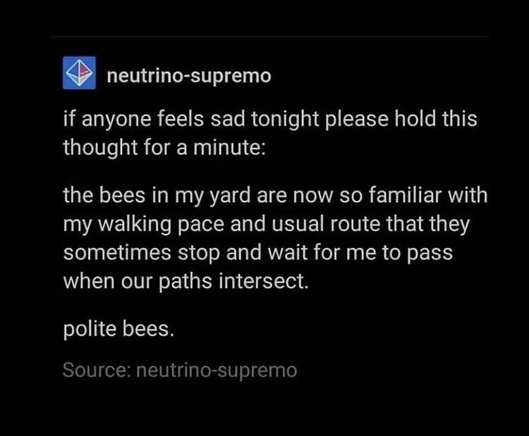 story about bees being polite