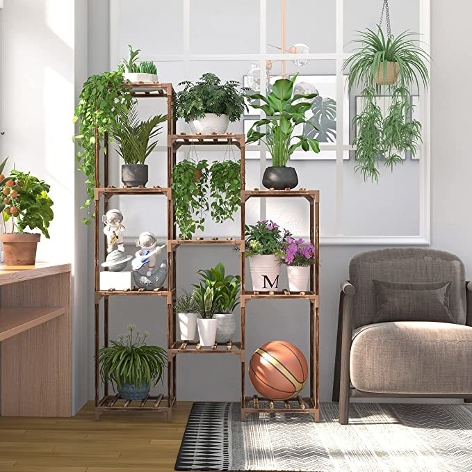 the plant stand in a living room with plants on it