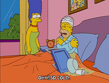 Homer shivering and saying, &quot;Oh, so cold&quot;