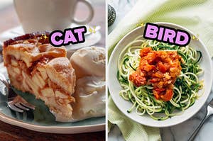 On the left, a slice of apple pie with a side of vanilla ice cream labeled cat, and on the right, some zoodles with marinara sauce labeled bird