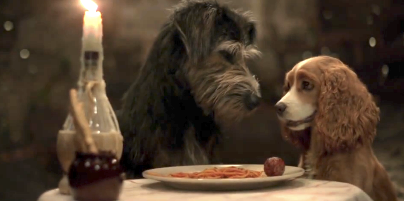two live-action dogs gazing lovingly at each other over a plate of spaghetti
