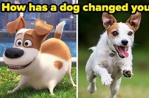 split image of a dog from disneys movie 'secret life of pets' and on the right is a real dog jumping