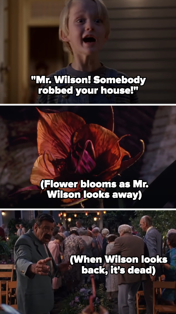Mr. Wilson turning back to a flower that once bloomed but is now dead in under his view