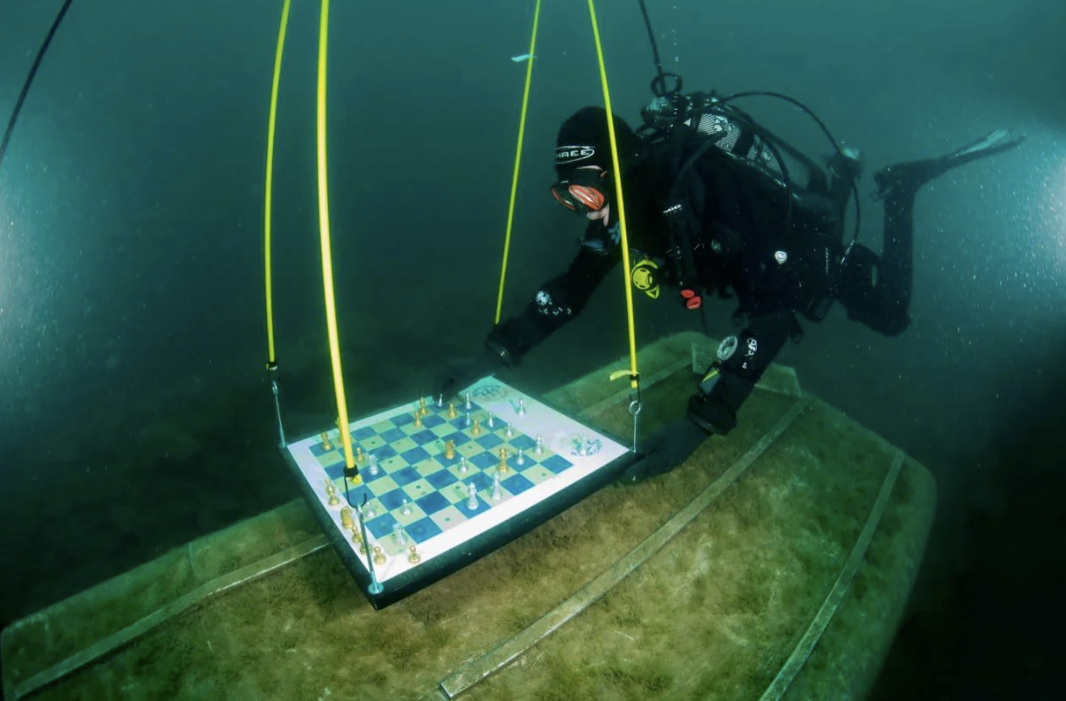 A diver has a chess board resting on some form of algae-covered metal