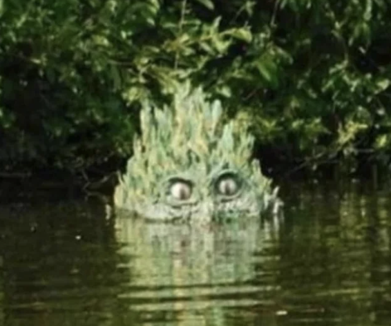 Another partially submerged statue that looks like some kind of plant monster with intense eyes